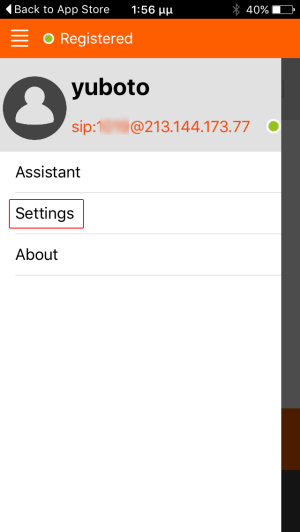 Linphone Settings